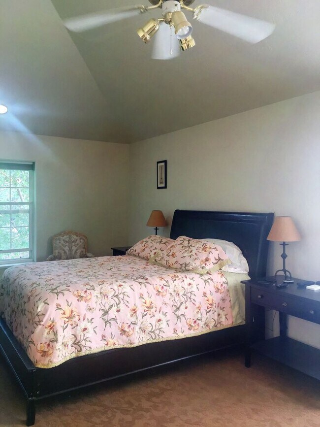 Building Photo - Downtown Glenwood Springs Condo