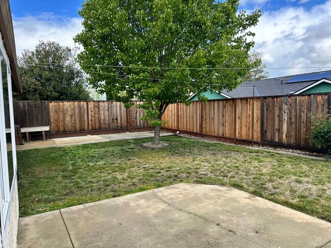 Backyard - 4864 Chablis Ct