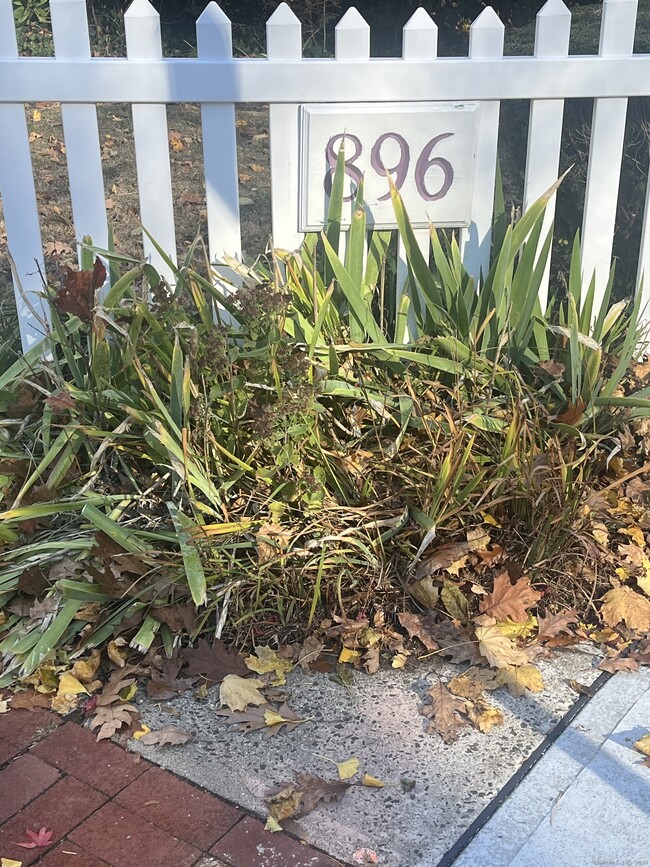 Building Photo - 896 Quinnipiac Ave