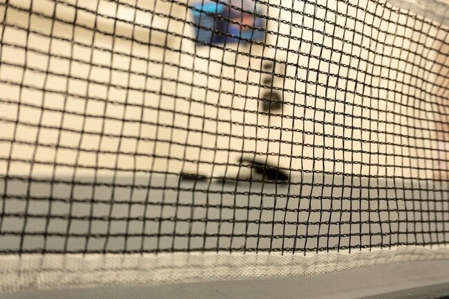 Building Photo - 3537 Fairburn Pl NW