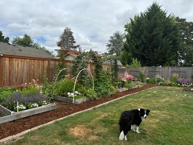 Building Photo - 3989 Josh St