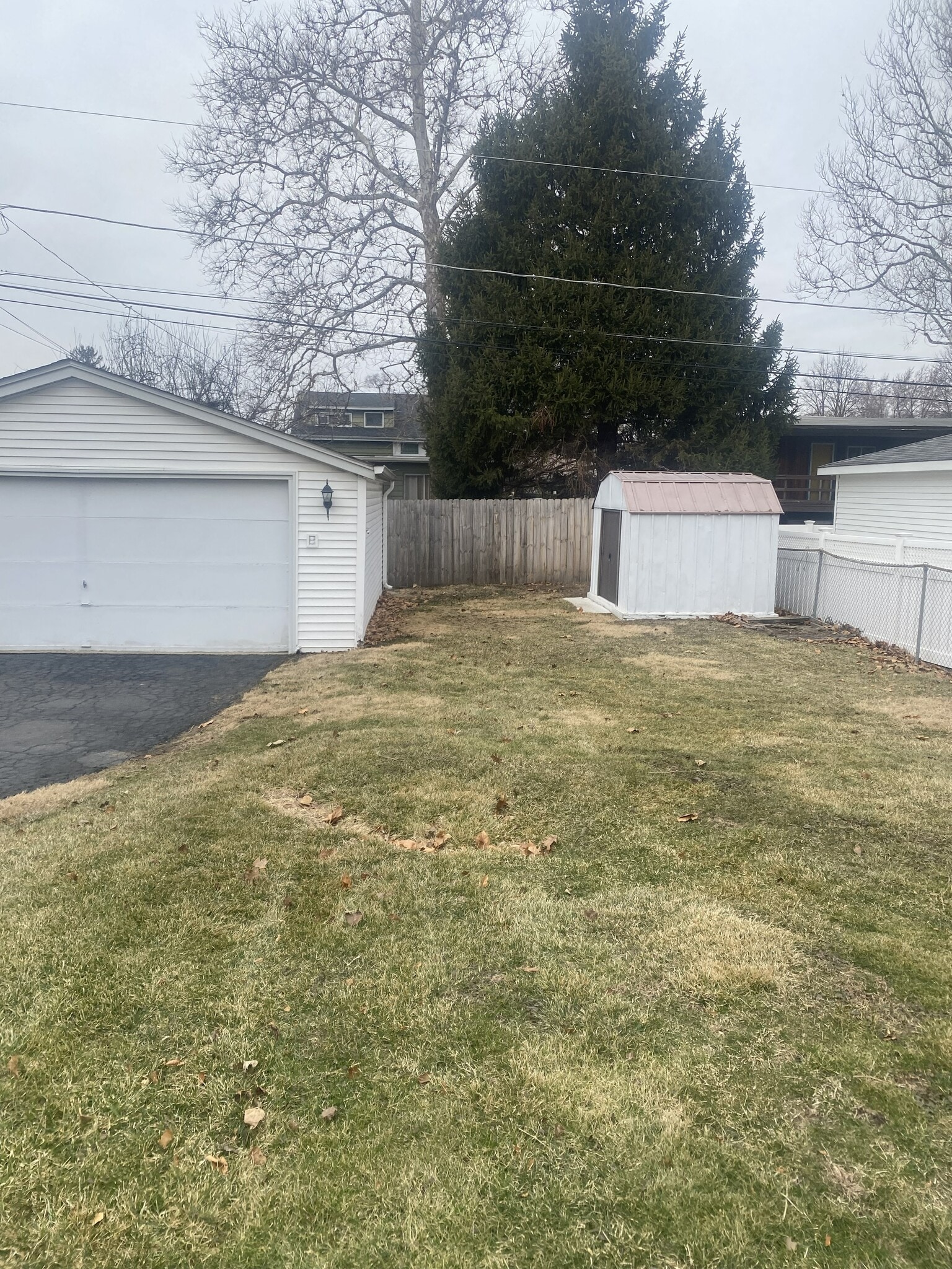 Rear Yard - 712 S Swain Ave