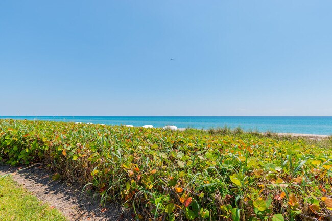 Building Photo - 2660 S Ocean Blvd