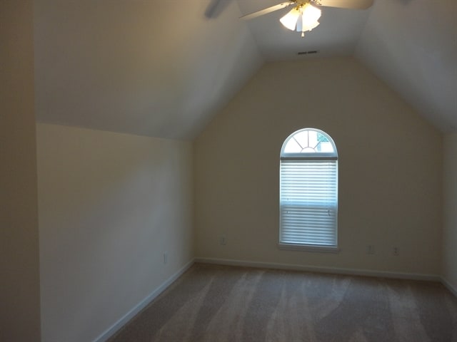 Building Photo - 1312 Ujamaa Dr
