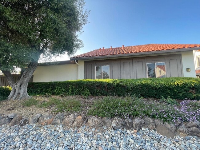 Building Photo - 8063 Park Villa Cir