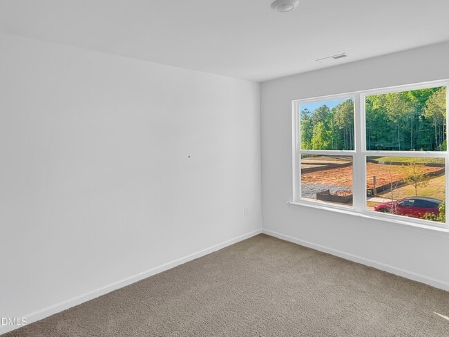 Building Photo - 287 Palm Dr