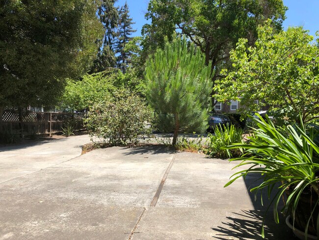 Building Photo - 507 Addison Ave