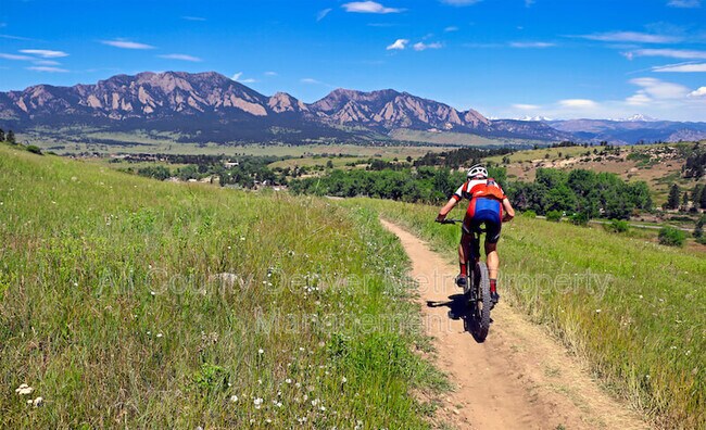 Building Photo - 306 Mulberry Cir