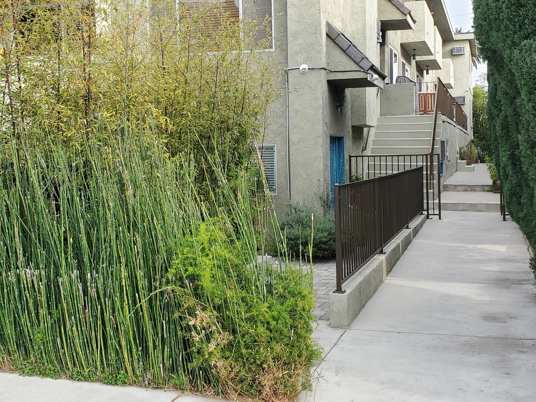 Front Entrance Bamboo - 11946 Dorothy St