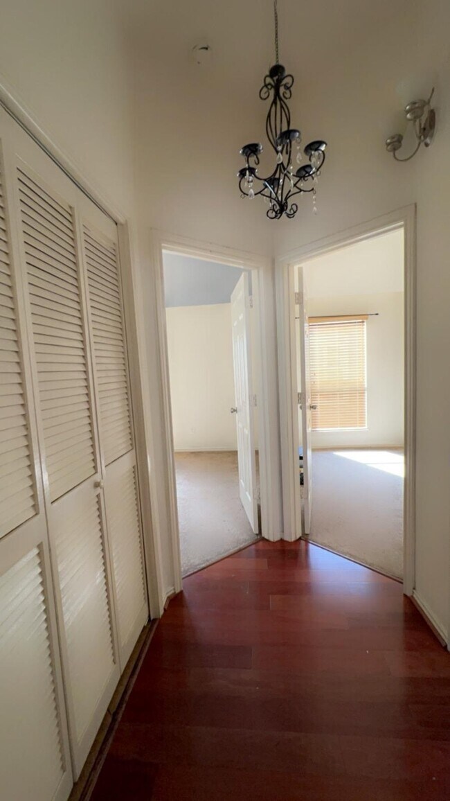 Building Photo - 11115 Pigeon Bluff Dr