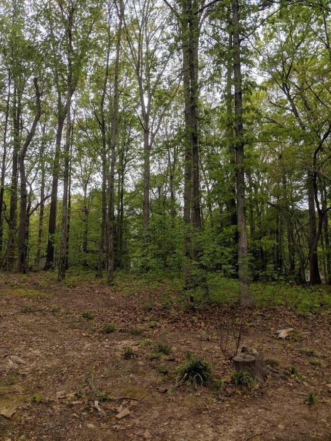 Building Photo - 144 Fern Forest Dr