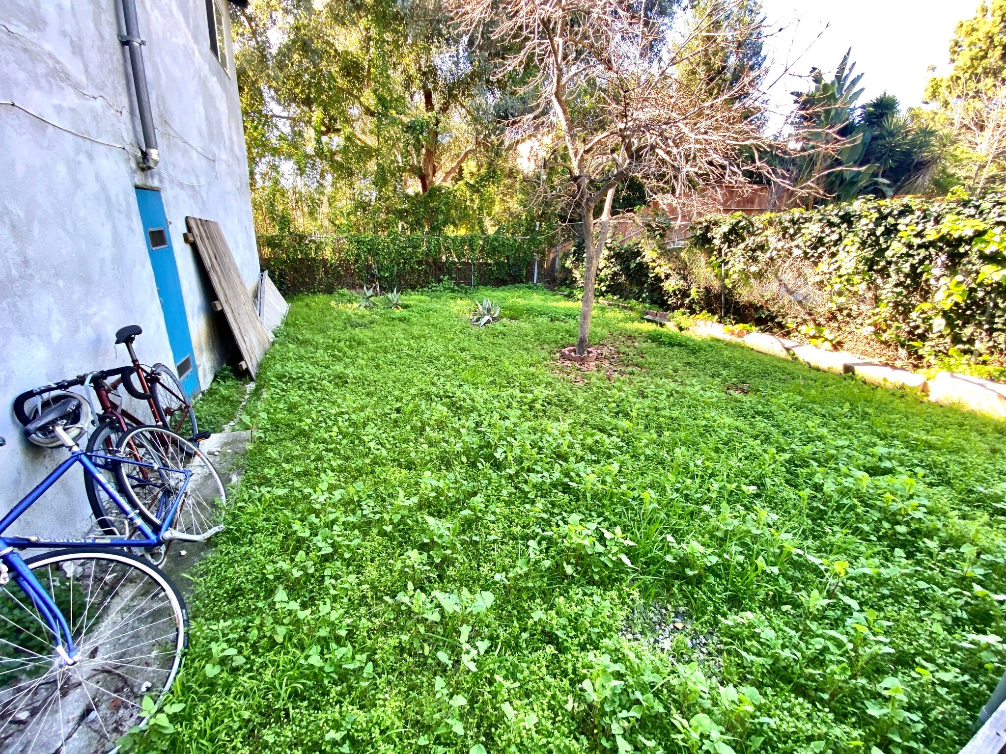 Building Photo - 1653 1/2 Maltman Ave