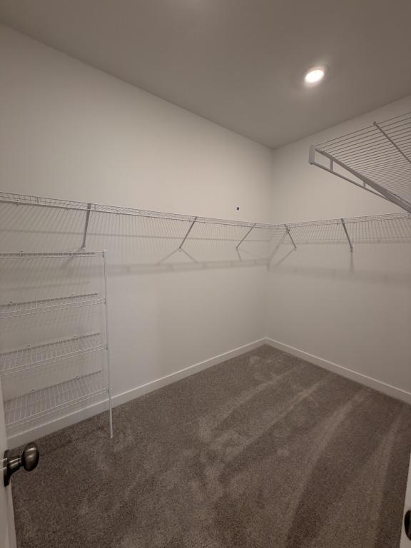 Building Photo - 5063 Loggia Ln