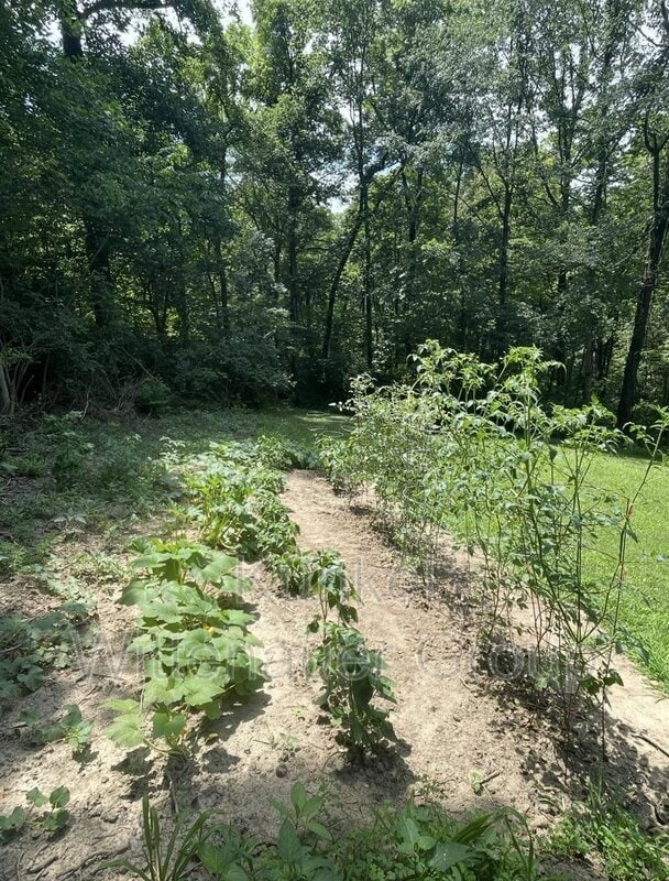 Building Photo - 1334 Fiveacre Ct