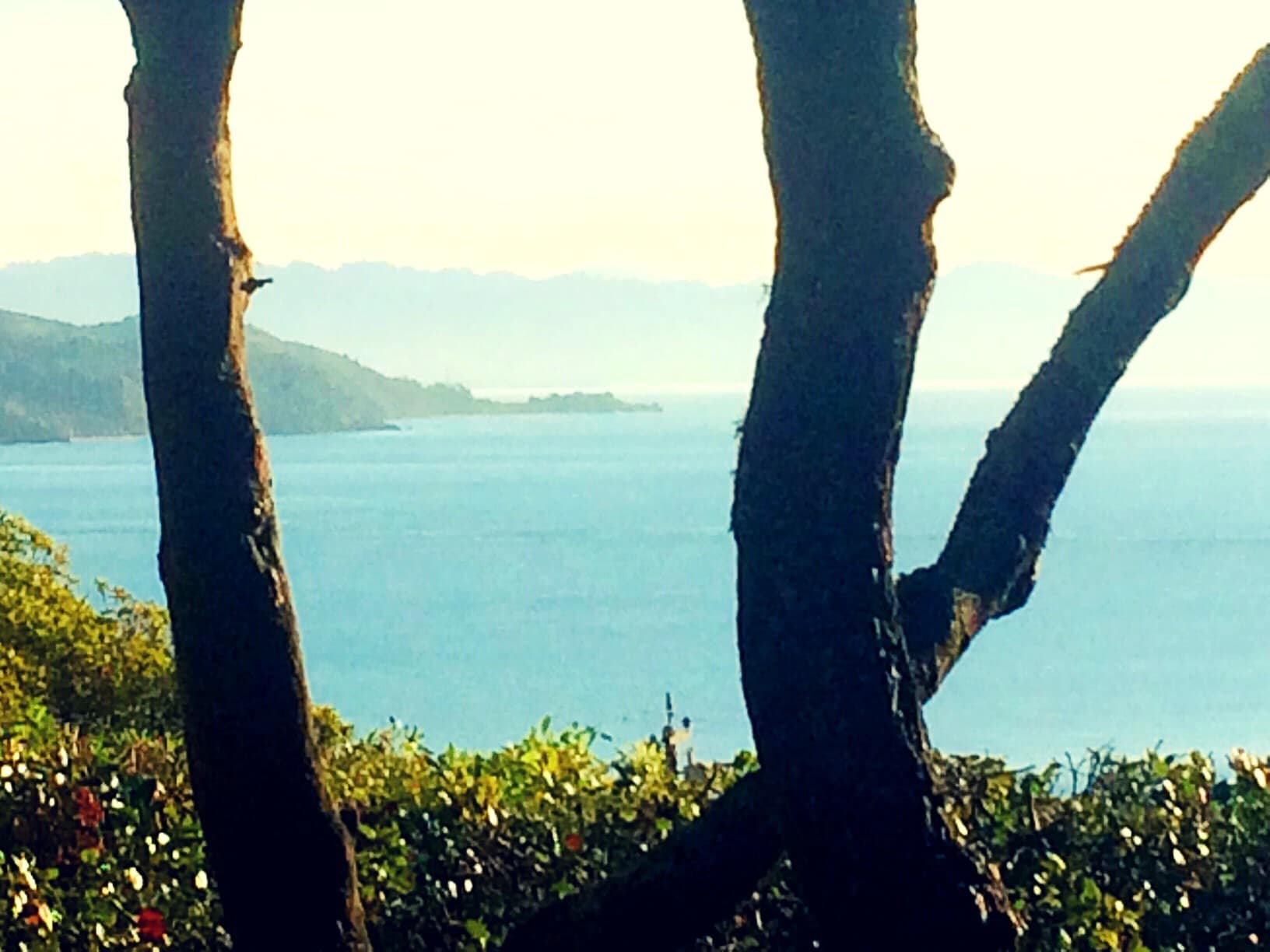 View from deck and Livingroom - 626 Main St