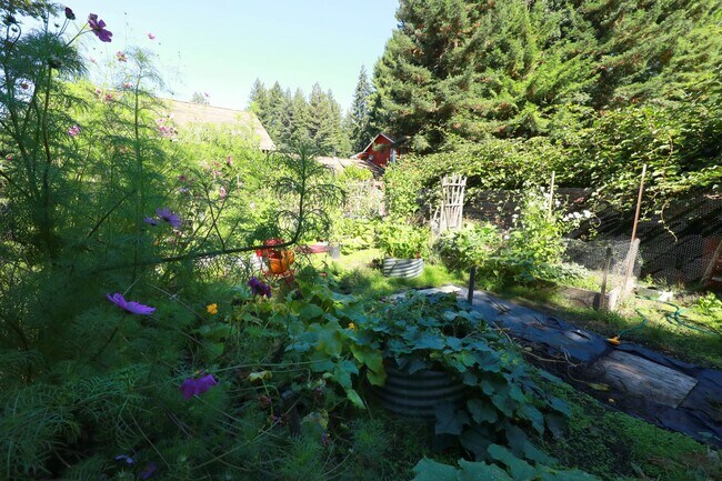 Building Photo - Spacious Custom Home, Most Utilities Included!