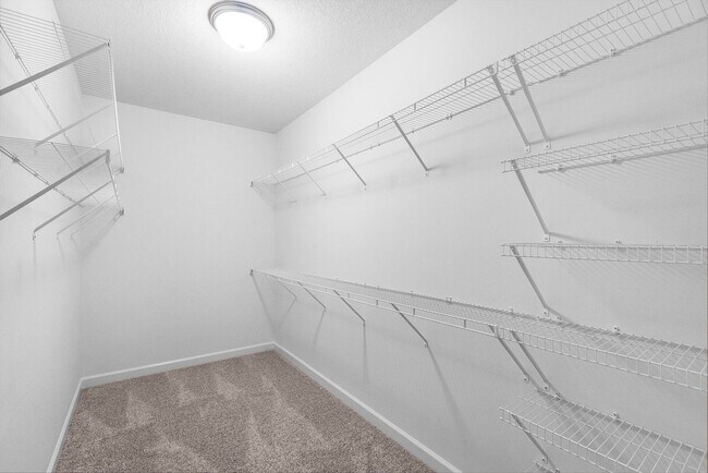 Building Photo - 502 Shallotte Ln