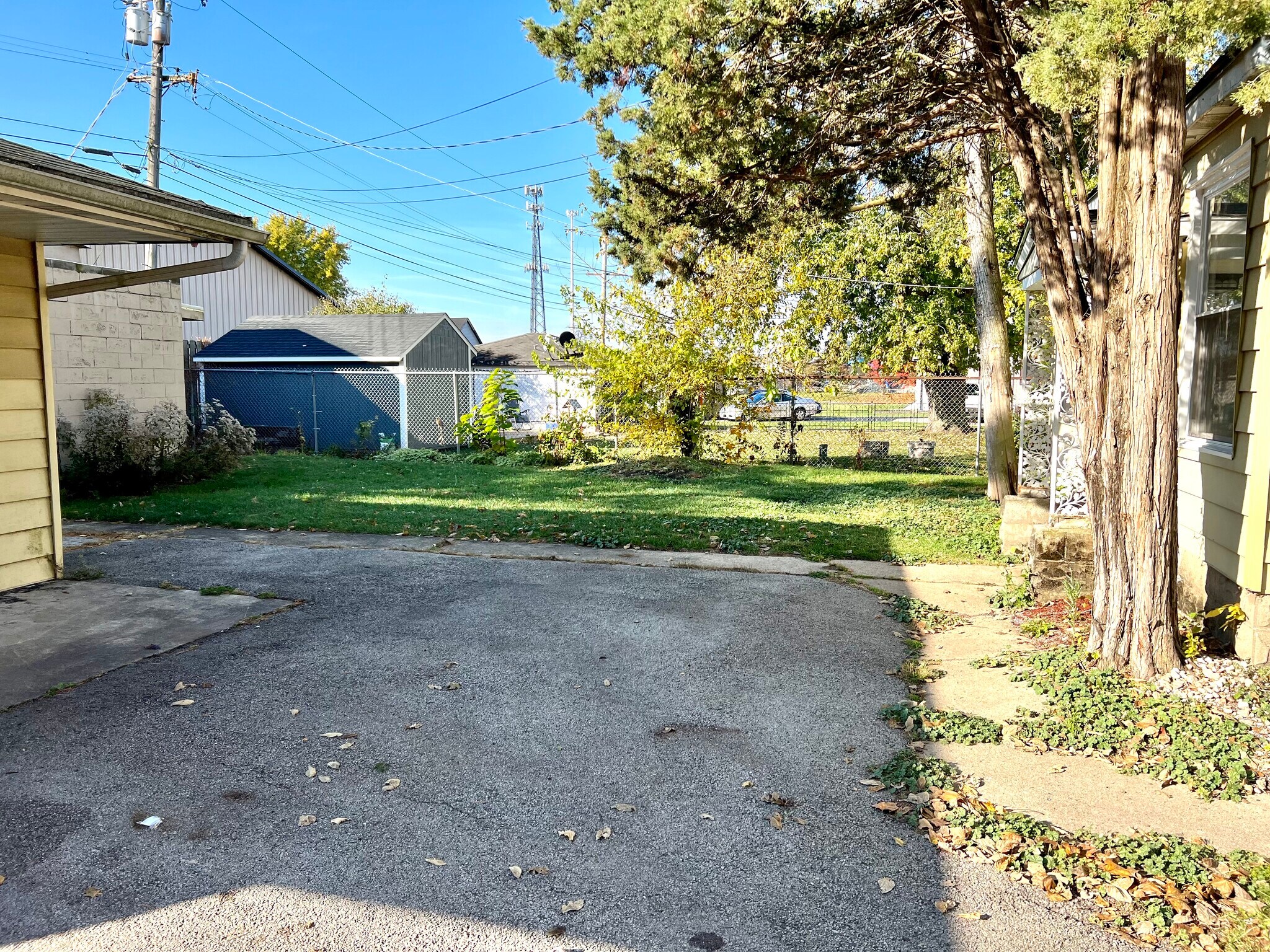 Back yard - 309 May St