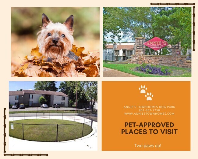 ANNIES TOWNHOMES 2603 Pojest Dr Memphis TN 38127 Apartment Finder