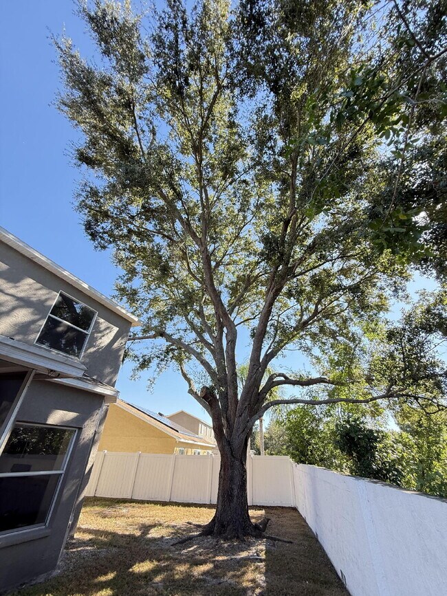 Building Photo - Beautifully remodeled 6 bedroom - 3 bath home in Summerfield Village