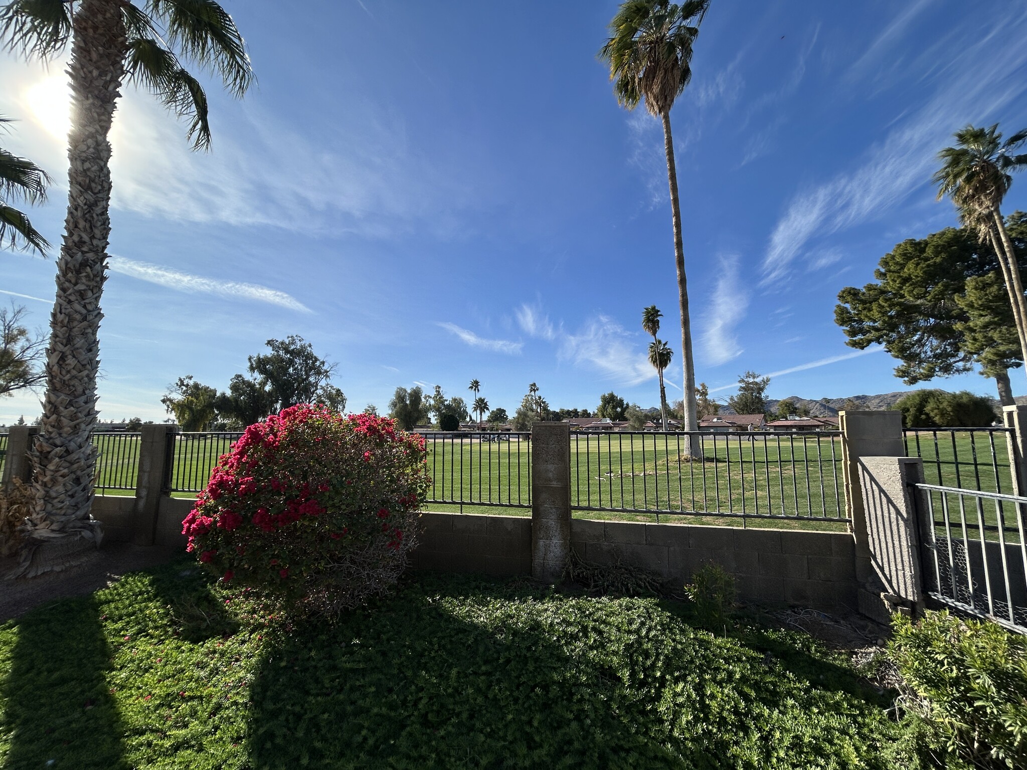 Building Photo - 12138 S Tomi Dr