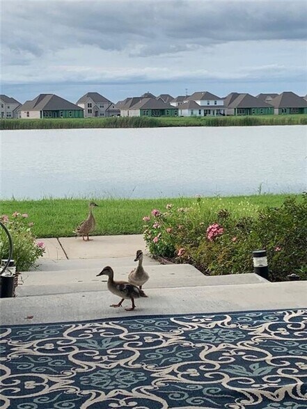 Building Photo - 789 Pelican Bay Dr