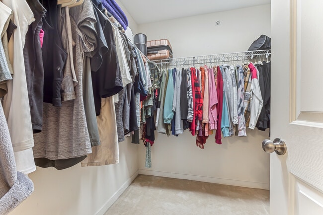 Building Photo - 116 Zenith Loop