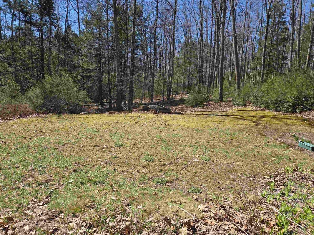 Building Photo - 43 Casalis