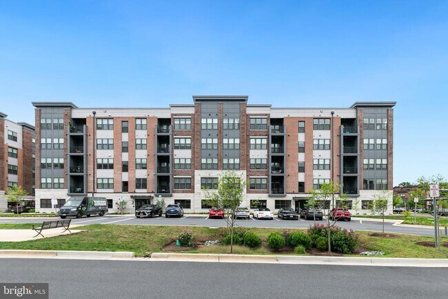 Building Photo - 3507 Bellflower Ln