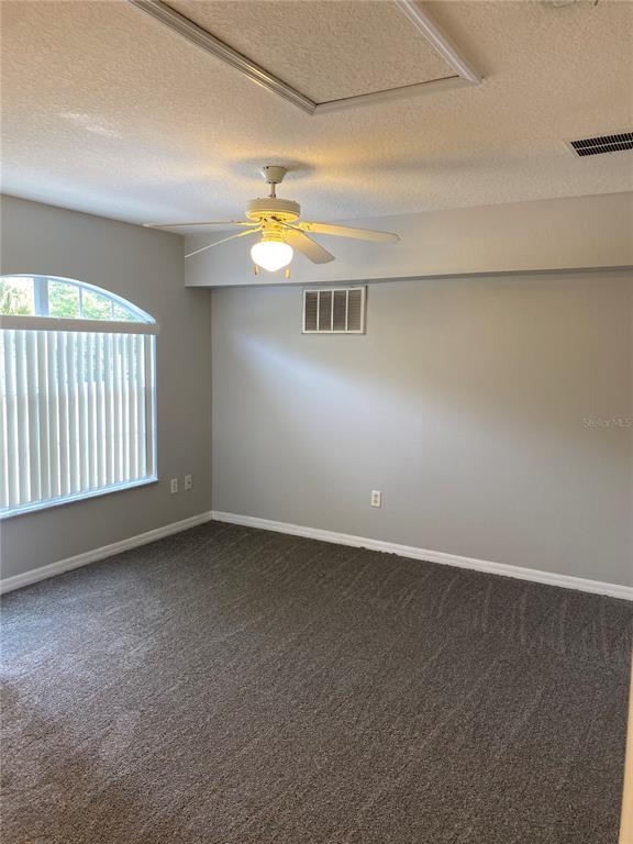 Building Photo - 613 Coconut Palm Way