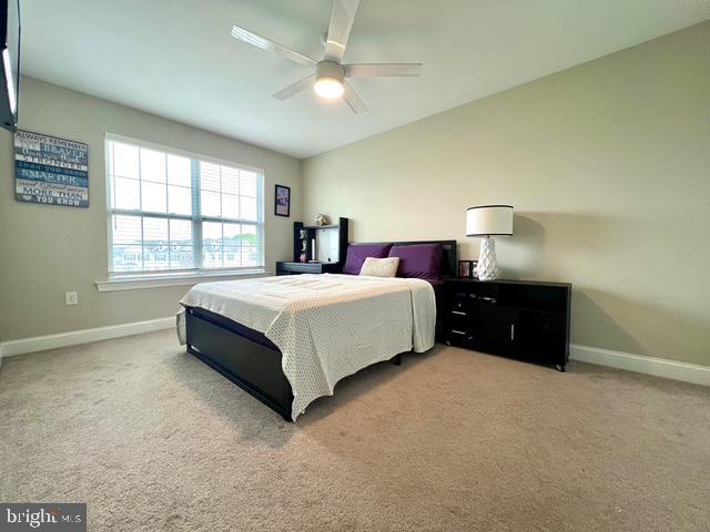 Building Photo - 221 Cadence Ct