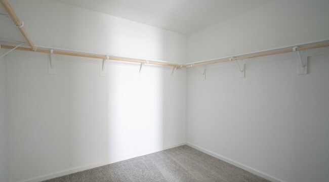 Building Photo - 1026 Arneis Pl