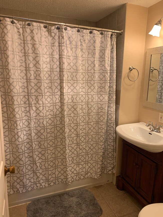 Building Photo - 11 Rambling Brook Ln