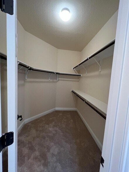 Building Photo - 704 Falkland Trace