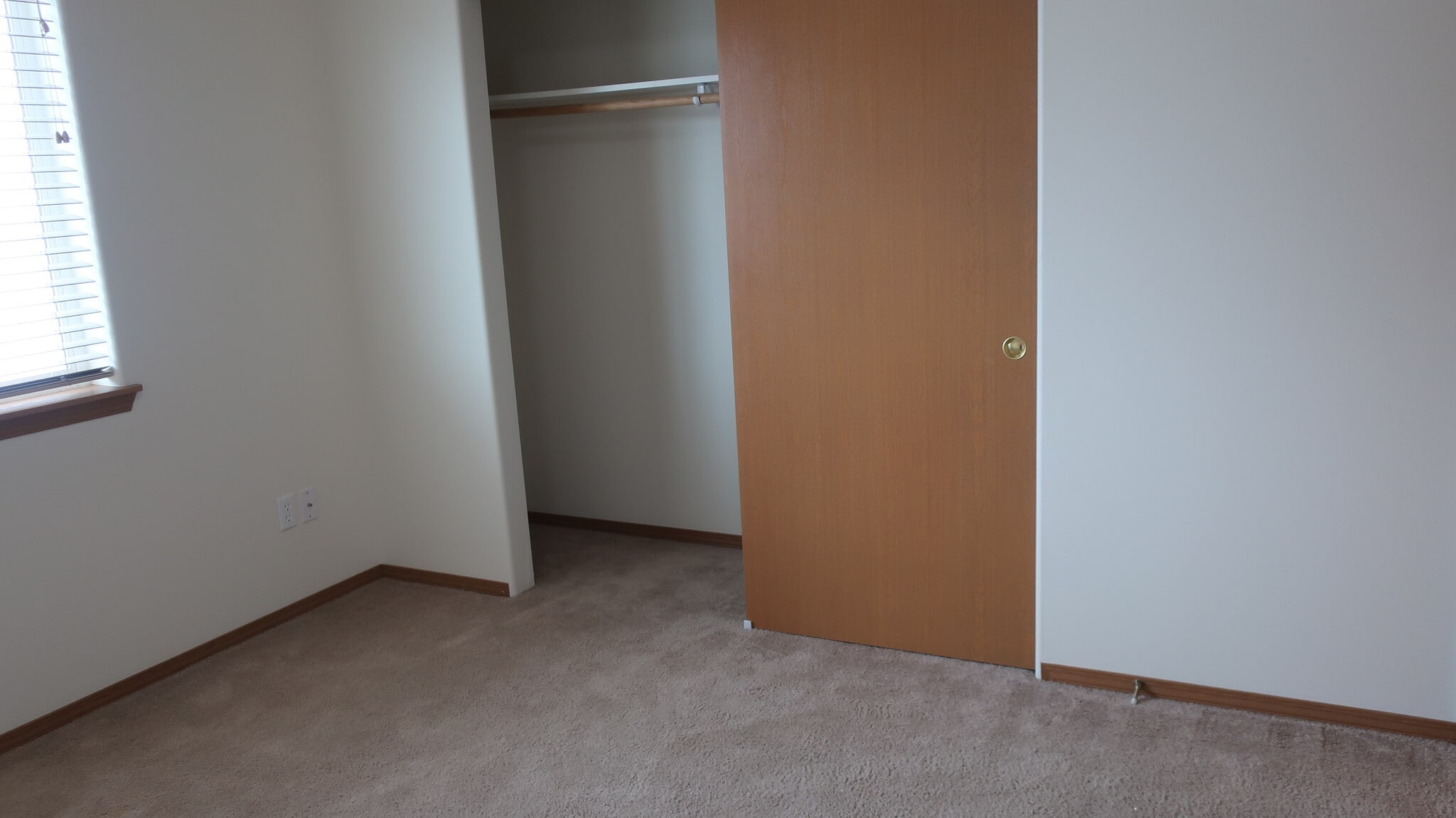 Building Photo - 1289 Canyon Ct