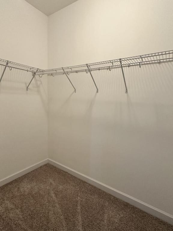 Building Photo - 283 Hugh Shelton Loop