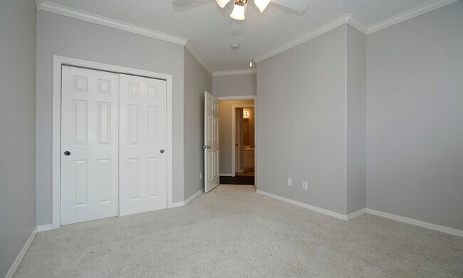 Building Photo - 1515 Olive Park