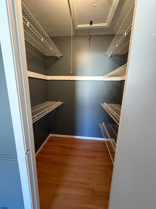 Building Photo - 2703 Mimosa Ct