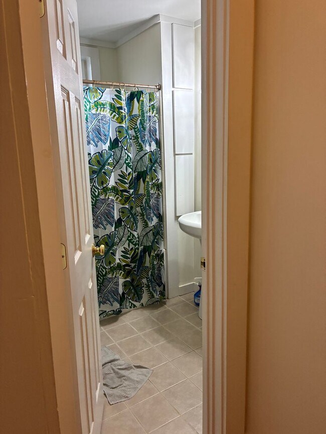 Building Photo - 3 Bedroom home near downtown and campus.