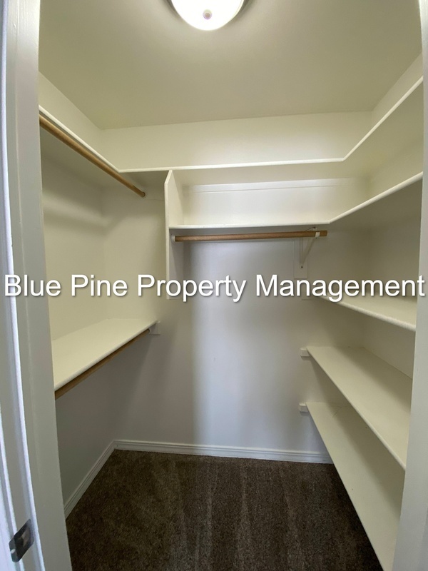 Building Photo - 3865 Cobalt Dr