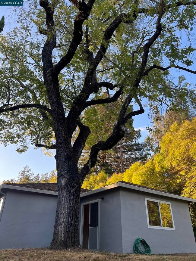 Building Photo - 520 Dawkins Dr