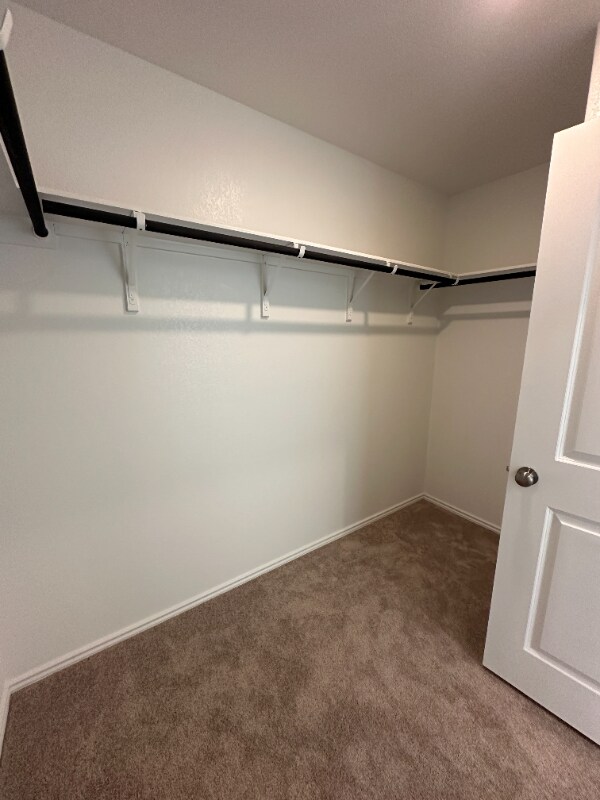 Building Photo - 614 Waterway Ave