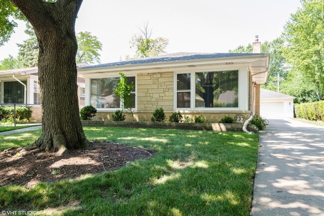Primary Photo - 233 Thelin Ct