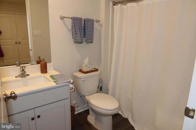 Building Photo - 213 Mazzeo Dr