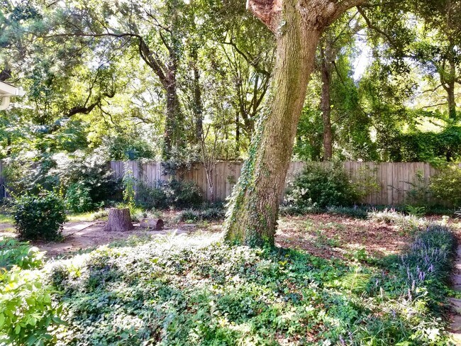 Building Photo - Charming 4 Bedroom Home in Center Lake Subdivision - Mt. Pleasant