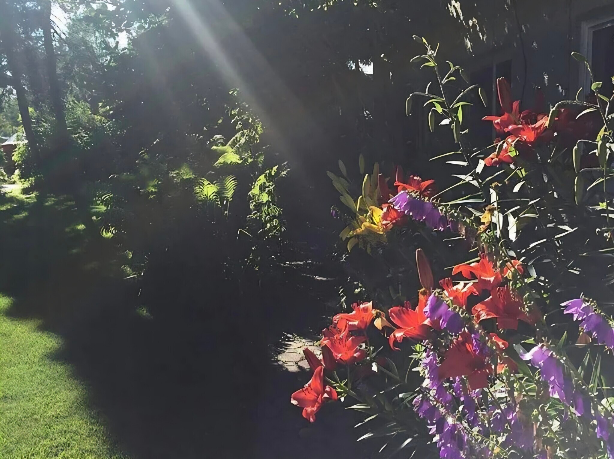 Building Photo - 1426 Orca St