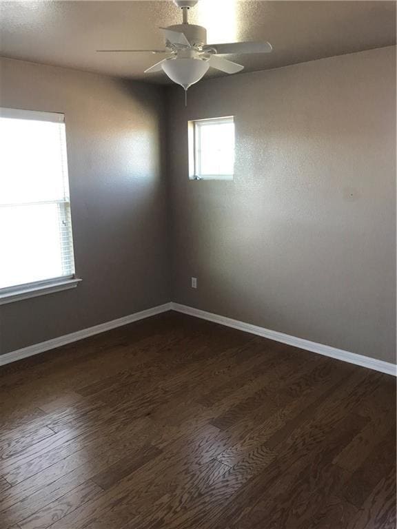 Building Photo - 8213 Reggio St