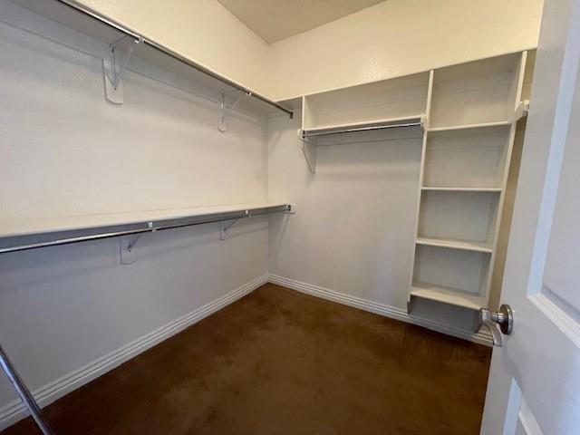 Building Photo - 3909 SW Sycamore St