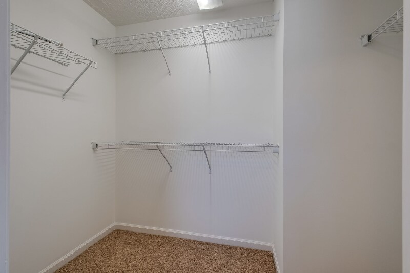 Building Photo - 103 Blossom Ct