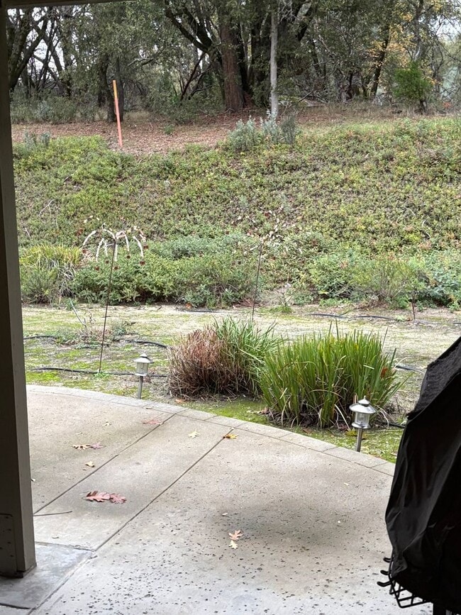 Building Photo - Beautiful, Loved, 3 bed-2 ba Mountain Home